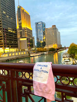 Load image into Gallery viewer, ORIGINS Hoodie. Pink
